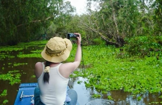 Que Faire à An Giang ? Visite De La Forêt De Cajeputiers Tra Su An Giang