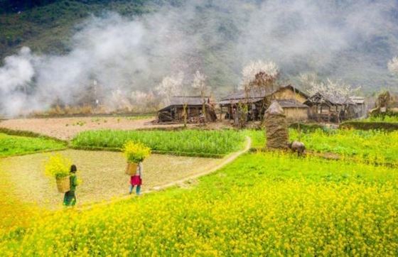 Que Faire à Ha Giang En 2 Jours ? 48 Heures D’explorer Ha Giang, Vietnam