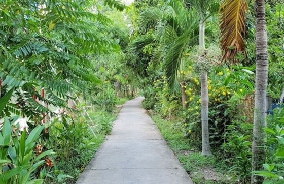 Que Faire à Can Tho: Visite Du Jardin Fruitier Can Tho De Ba Cong
