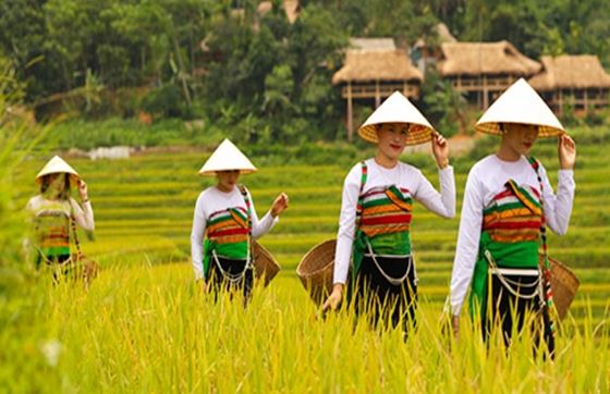 Explorez Le Village De Kho Muong : Un Joyau Naturel à Pu Luong, Vietnam