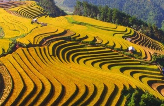 Que Visiter Lors D'un Circuit Lang Son Cao Bang 6 Jours ?
