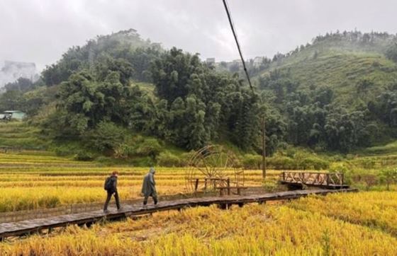 Que Faire à Lao Cai Vietnam ? Melleures Activités à Ne Pas Manquer