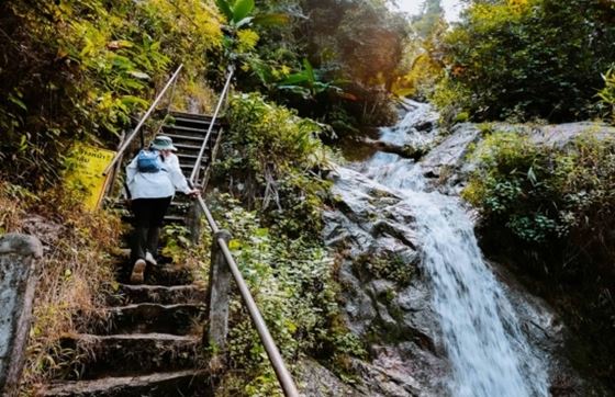 Que Faire à Chiang Mai? Découverte La Cascade De Mae Kampong