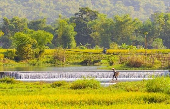 Que Faire à Lac Village? Conseil Voyage Et Top Choses à Faire à Mai Chau