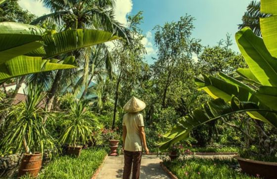 Quel Mois Est Le Meilleur Pour Une Visite Au Vietnam ?