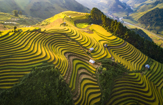 Mu Cang Chai Vietnam: Meilleure Période Pour Voyager À Mu Cang Chai