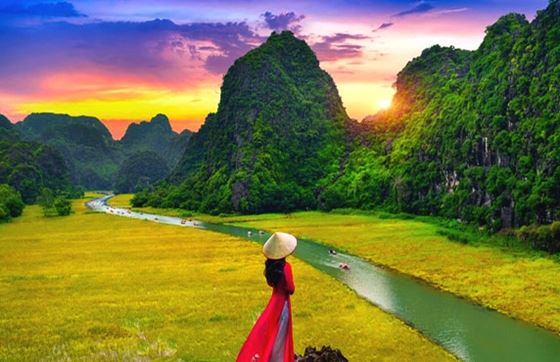 Que Faire à Ninh Binh, Vietnam ? Visiter Ninh Binh : Votre Guide D'excursion D'une Journée