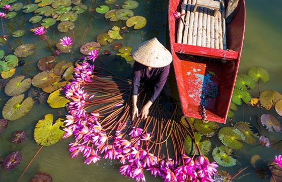 Les 10 Meilleurs Choses à Faire à Ninh Binh, Vietnam  