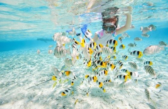 Où Manger à Koh Rong ? Top 05 Meilleurs Restaurants à Koh Rong 