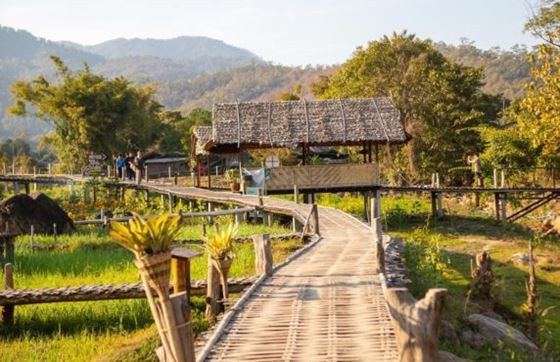 Conseil De 21 Jours Nord Thailande Et Plages Du Sud Par Couple Carlos