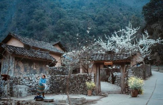 La Maison De Pao - Découvrir L'identité Ethnique Des Hmong à Ha Giang