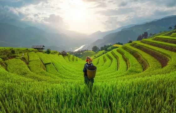 Pays Chauds à Visiter En Mars En Asie Du Sud-Est