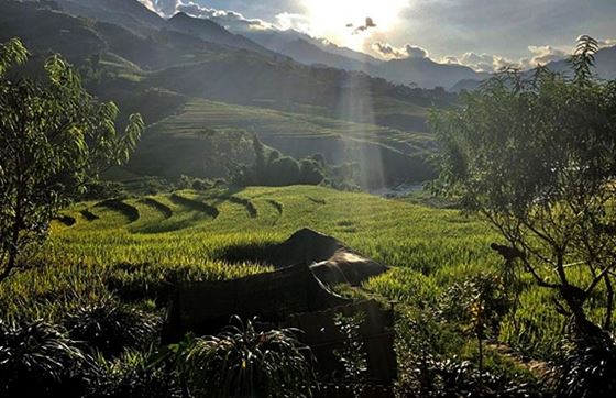 Que Faire à Sapa ? Visiter Le Village De Giang Ta Chai Sapa 