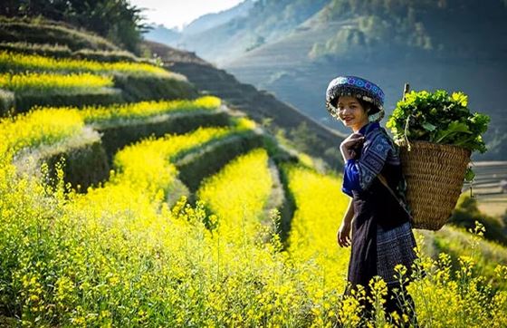 Que Faire A Sa Pa ? Itinéraire Sapa 5 Jours 4 Nuits - Votre Guide De Voyage