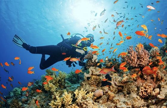 Itinéraire 3 Jours à Phu Quoc: Avis D'itinéraire 3 Jours Par M. Alexis 