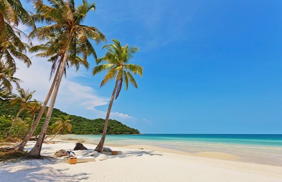 Que Faire à Phu Quoc? Top 15 Meilleures Choses à Faire Sur L'île De Phu Quoc, Vietnam 