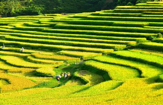 Que Faire à Pu Luong Vietnam En 2 Jours? Itinéraire Pu Luong 2 Jours