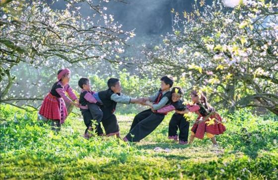 Sapa Ou Bac Ha : Quel Site Choisir Pour Voyager Au Nord Du Vietnam ?