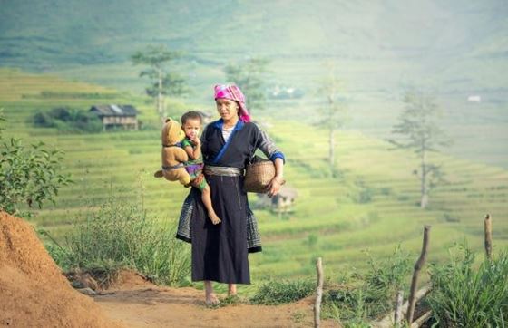 Visiter Sapa Ou Pu Luong ? Choix Idéal Pour Votre Voyage Au Vietnam