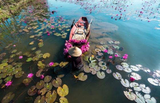 Quelle Partie Du Vietnam Est La Plus Pittoresque ?