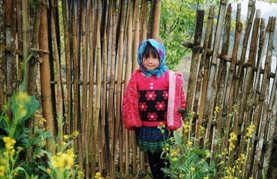 Que Faire à Si Ma Cai ? Explorez La Beauté Sauvage À Sapa Vietnam