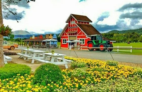 Parc Singha à Chiang Rai: Un Parc à Ne Pas Manquer Pour Votre Voyage