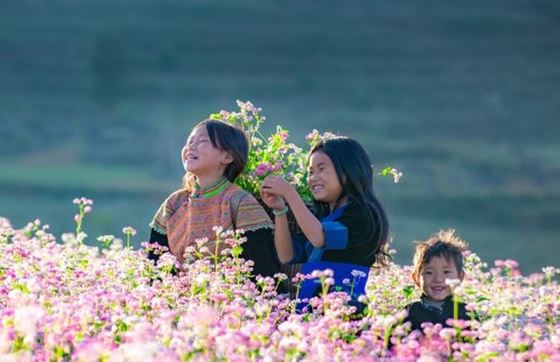 Que Faire à Ha Giang En Novembre ? Conseil De M. Pedro