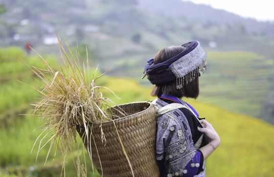 Découvrez L’ethnie Thaï Noir à Pu Luong, Vietnam