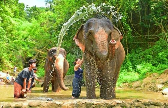 Que Faire En Thaïlande ? Revue De 10 Jours En Thaïlande Par M. Dupont