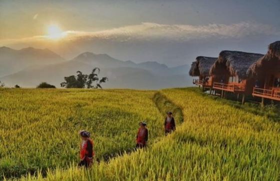 Au Village De Thong Nguyen : Admirez Le Charmant Paysage Naturel De Ha Giang