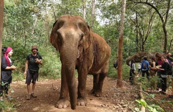 Que Faire à Mondulkiri En 2 Jours Par M. Antoine