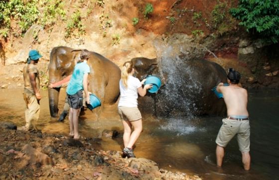 Quelle Est La Meilleure Période Pour Visiter Mondulkiri Cambodge ?