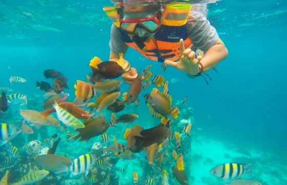 Snorkeling Au Nord Et Au Sud Du Vietnam - Quelle Région Choisir ?