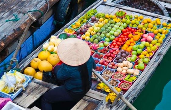 Top 08 Des Meilleures Choses à Faire à Can Tho, Vietnam