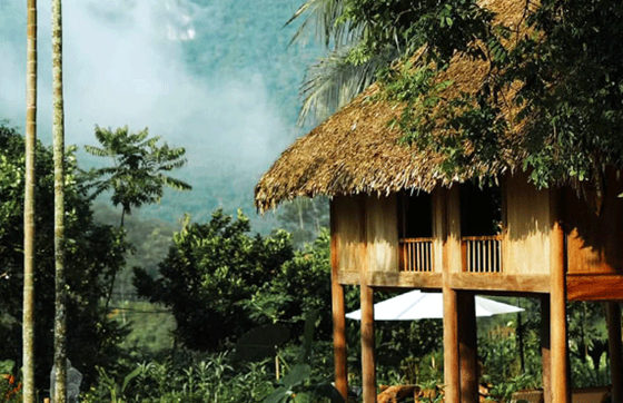 Top 12 Des Hébergements Chez L'habitant à Pu Luong, Vietnam