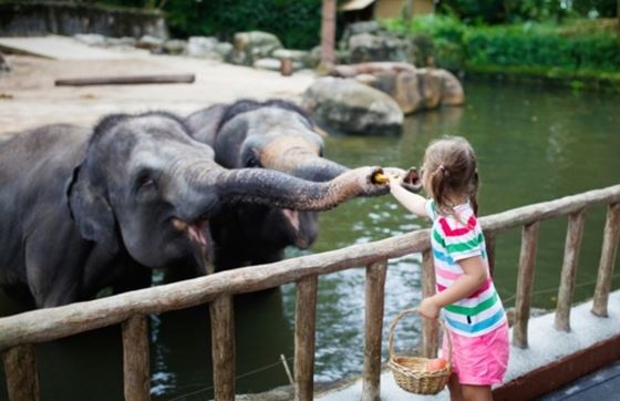 Conseils Pour Un Voyage Au Laos En Famille Pas Cher