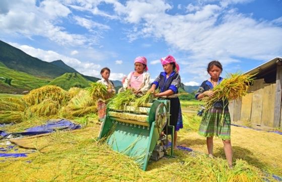 15 Jours Au Vietnam En Octobre Avec Expérience De M. Thierry