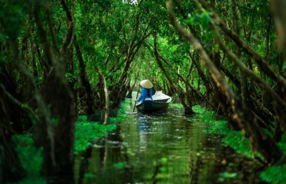 Que Faire À Ben Tre Quand Il Pleut ?