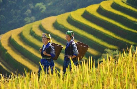 Le Point De Vue Sur 15 Jours Au Vietnam En Novembre Par M. Luthier