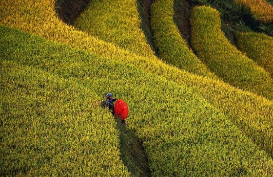 Voyage Yen Bai Lao Cai Lai Chau 6 Jours - Conseils De Voyage De Hubert