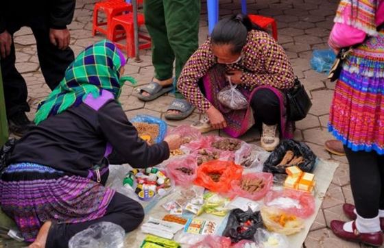 Voyage Sapa : 1 Journée Visite Du Marché D’Y Ty Avec M. Ben TOURE
