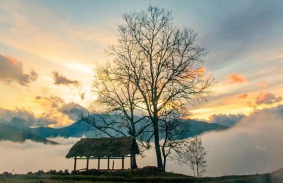 Que Faire à Y Ty Sapa ? Visiter Le Paradis Naturel Au Nord Du Vietnam
