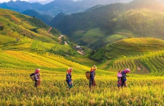 Avis Sur L'itinéraire 2 Jours à Yen Bai Au Nord Du Vietnam Par M. Opée