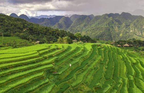 Découvrez Des Activités De Plein Air Inoubliables à Pu Luong