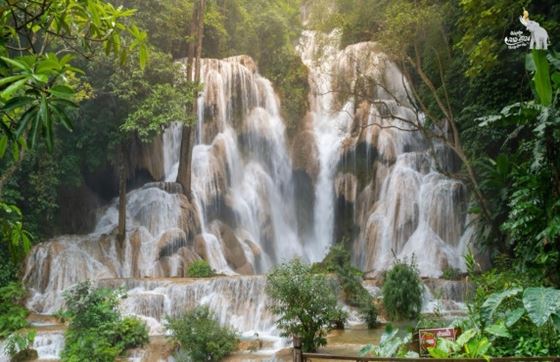 2 Jours à Luang Prabang : L'Expérience Inoubliable De Mme Dahlia