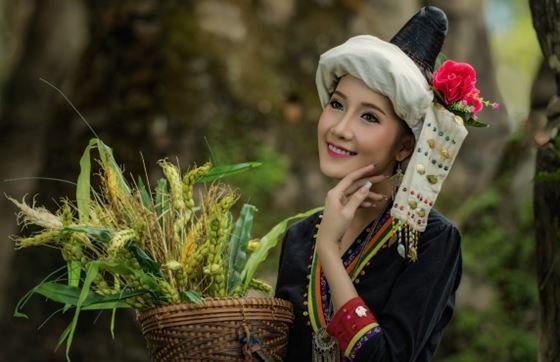 Que Faire à Laos Du Sud : Les Incontournables à Explorer