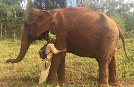 Que Faire Au Cambodge ? Top 10 Meilleures Choses à Faire à Mondulkiri