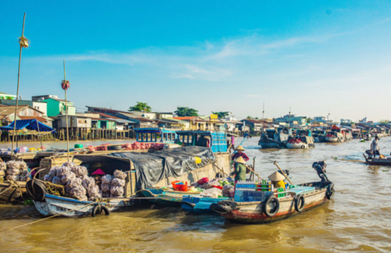 Avis Sur Le Circuit Can Tho Sadec Long Xuyen En 6 Jours Par M. Lago