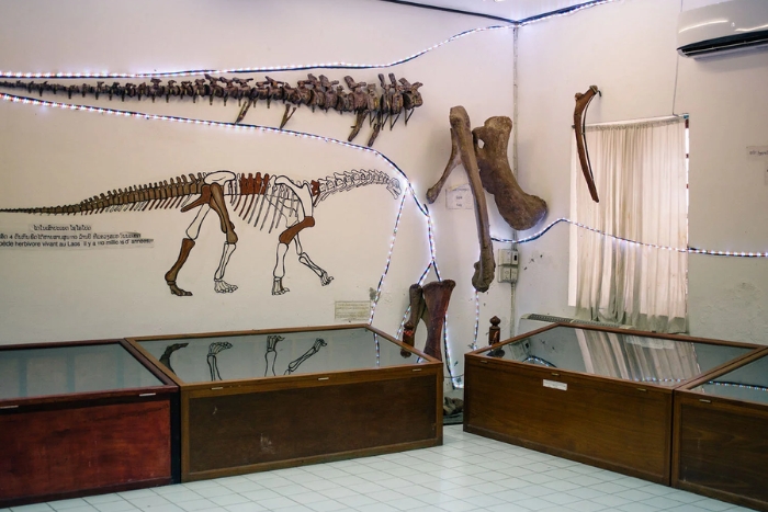 Que visiter avec des enfants au centre du Laos ? Musée des dinosaures Savannakhet 