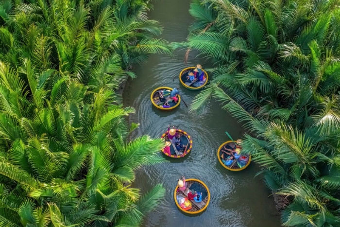 Découvrir la forêt de cocotiers de Bay Mau